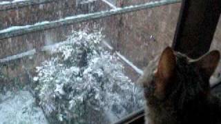 DSCF6521.AVI
