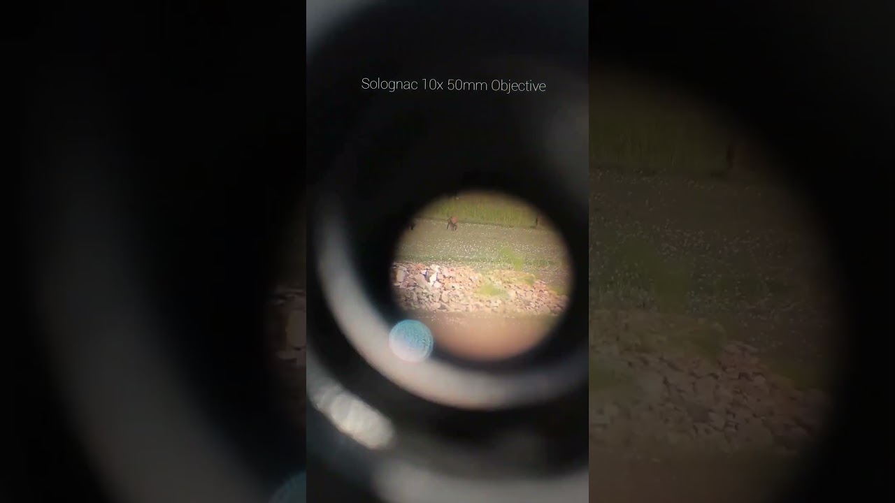 Up-NeXt: Solognac 10x 50mm V/s Celestron 8x 42mm. {5 v/s 5.25mm EP} 