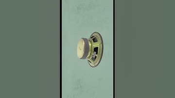 Speaker 3D Visualisation