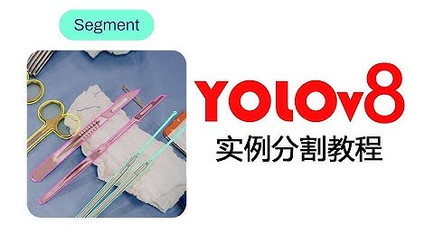 YOLOv8快速入门教程——实例分割
