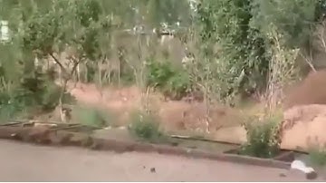 The Most Insane flash floods floods and mudslides in the world