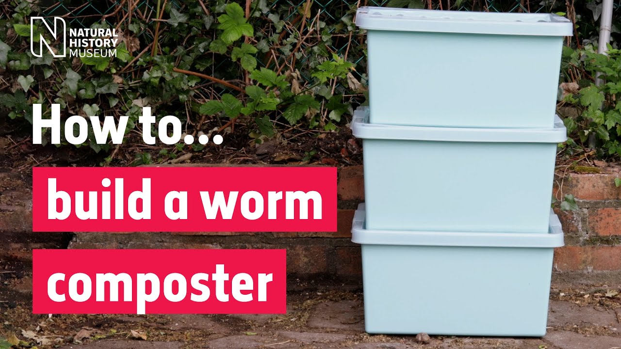 How to make a worm composter