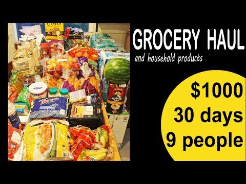 LARGE FAMILY GROCERY HAUL for the month of June