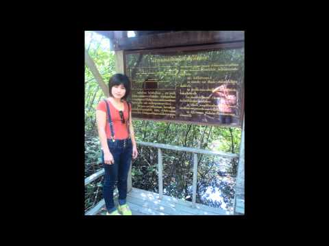 เธอทั้งนั้น.wmv