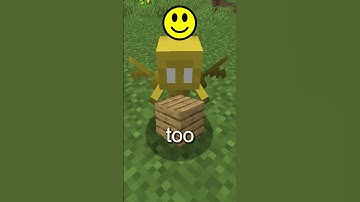 The Sad Lore Of The Gold Allay In Minecraft