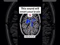 This sound will reset your brain ☣️ #yoga #motivation #balancefitness #yogaasana #pranayama #hatha