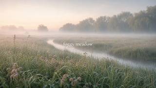 a foggy meadow playlist 🌫️ soft piano for slow mornings, quiet reading & gentle rest screenshot 1