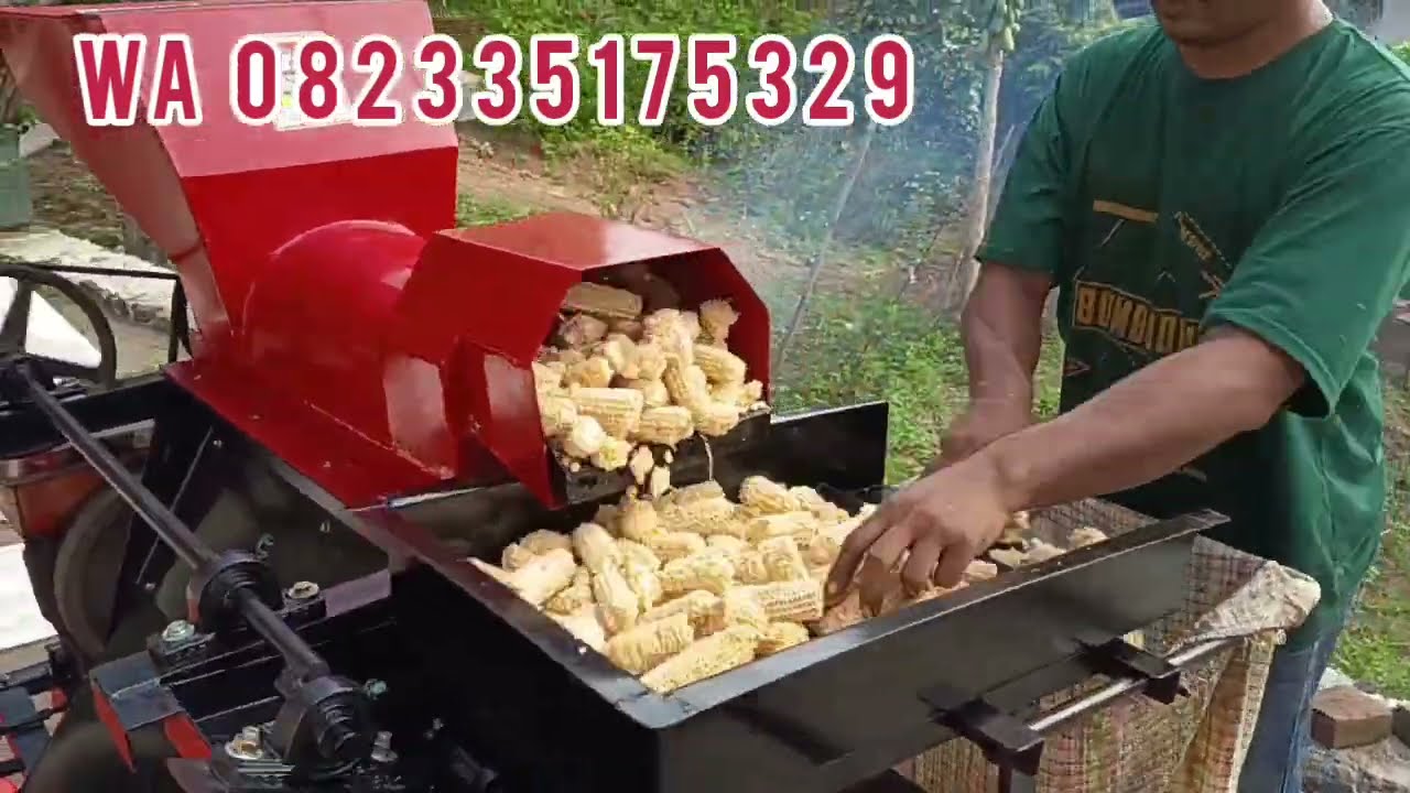 TES MESIN PERONTOK JAGUNG 2 ton per jam