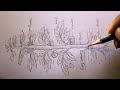 How TO Draw different part of plant step by step/draw a tomato tree/for school project