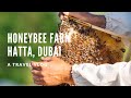 Hatta Honey Bee Farm | Honey Bee Garden | Hatta, Dubai