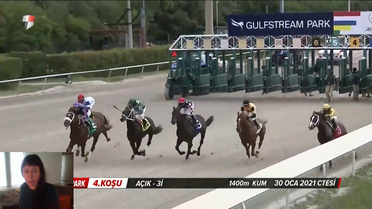 HORSE RACING! The Handicappers Bible Study. Grab those past performances and lets's study! Swale Sta