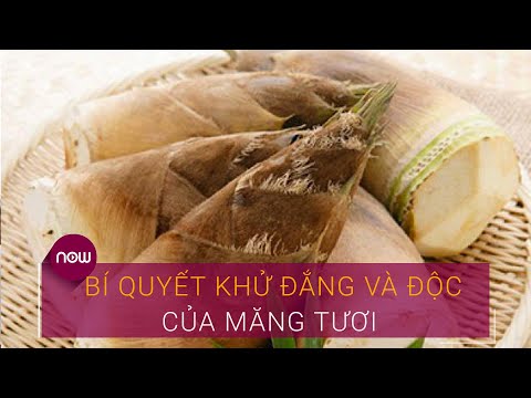 Video: Măng là gì - Dùng măng làm rau