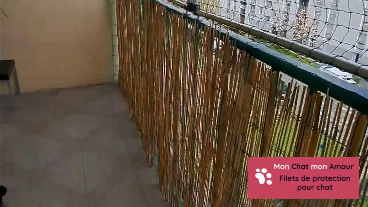 Sécurité pour chat COMPLÈTE pour balcon, avec filet renforcé et SANS percer ! 🐾🐱👍 YouTube