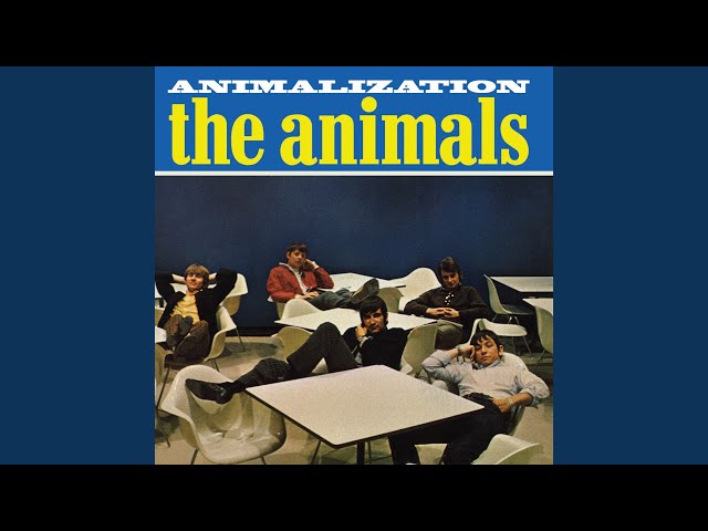 Animals  - Don't Bring Me Down