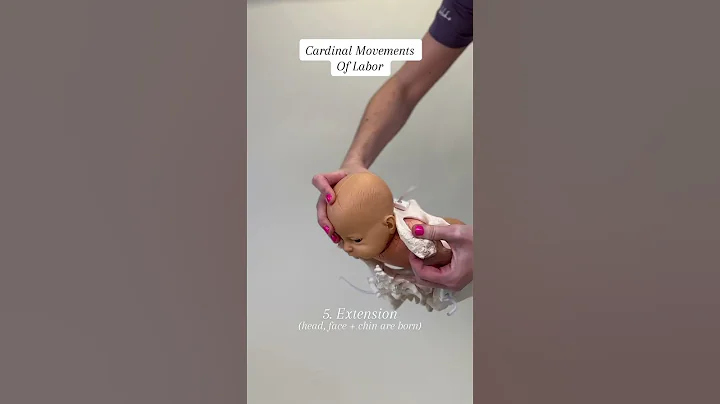 Cardinal Movements of Labor #givingbirth #childbirtheducation #pregnancyinformation #expectingmom