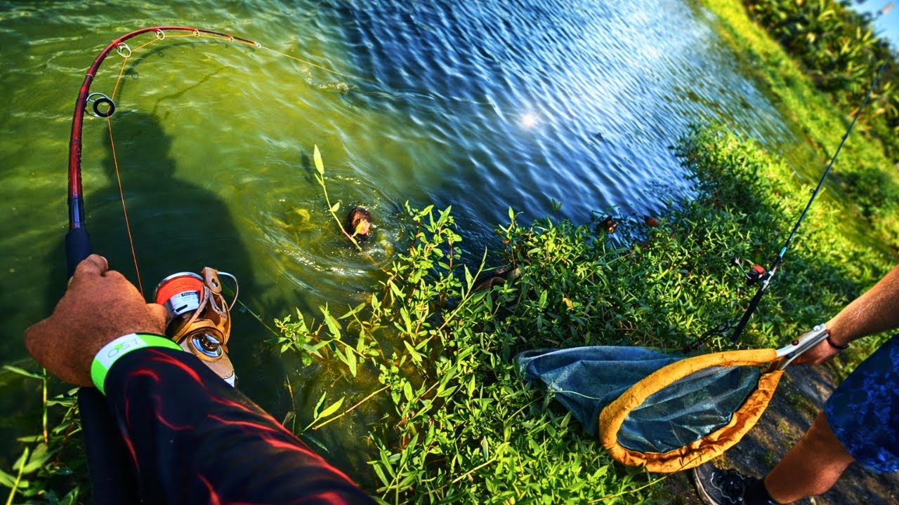 POV Fishing for Giant Tambaqui | Brazilian Pond Fishing in 4K