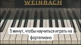 Научиться играть на фортепиано за 5 минут, теория музыки, ноты