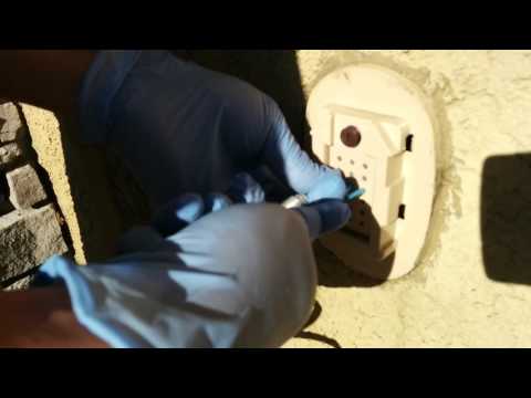 Wall Injection Bug Control Does In Wall Pest Tubes Control Insects Inside The Home