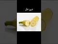 كيف كانت تبدو الفواكه قبل الانسان 