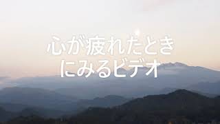 マザーテレサの言葉より　心が疲れたときに見るビデオ