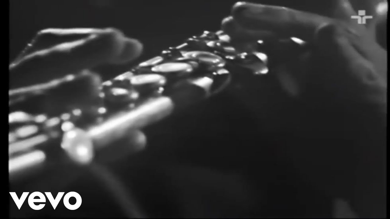 Cartola, Leci Brandão - Pensando em Dona (Programa Ensaio 1974)