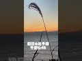 【日の出スポット】日本一早い犬吠埼からお届け🌄2023年皆さまにとって良い1年になりますように🎍#あけおめ #2023 #初日の出 #犬吠埼 #お正月 #お出かけスポット