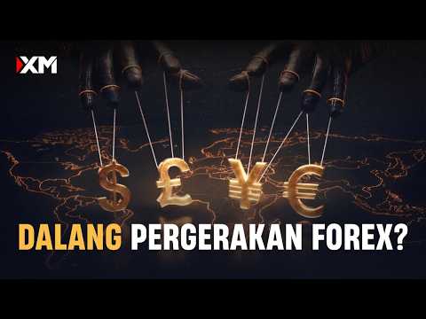 How Much Does CPI Data Affect the Forex Market?