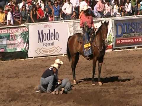 Accidentes de caballos fatales