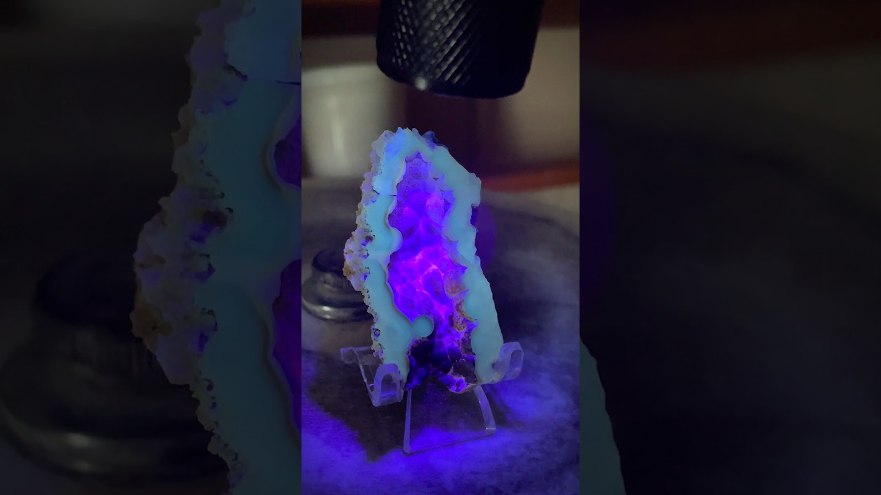 Found some Agatized coral and decided to touch it up! 