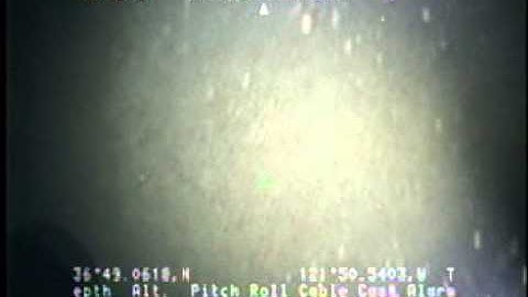 C0212SC_Tape73v.noaudio.mpg