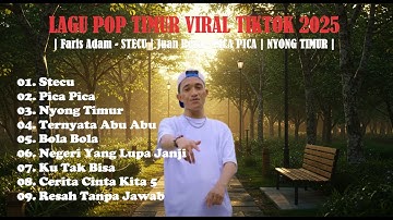 LAGU POP TIMUR VIRAL TIKTOK 2025 | Faris Adam - STECU | Juan Reza - PICA PICA | NYONG TIMUR