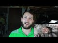 Beginning of video