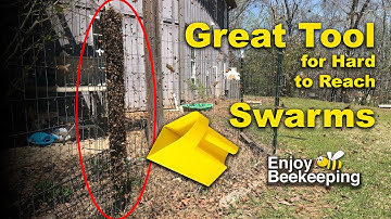 Great Tool for catching Bee Swarms