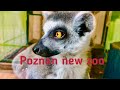 Poznan new zoo