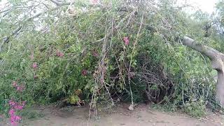 May 26 2020 Storm Damage