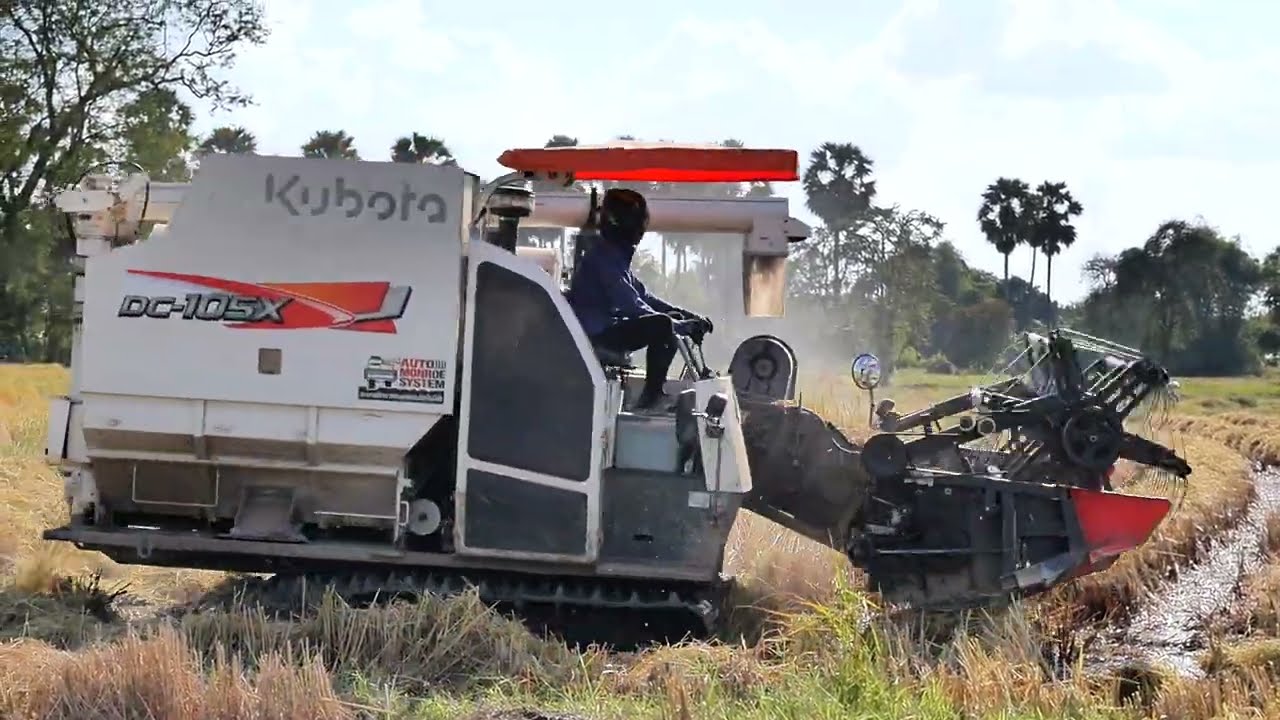 Wow nice driver Kubota DC105X harvesting the rice 🌾 