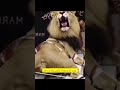 هل سالت نفسك يوما عن الاسد الذي يظهر في بداية كرتون توم وجيري ذلك الاسد يدعى ليو وهو رمز شركة 