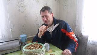 Грецкий Орех на Завтрак. Просто и Полезно (Walnut)