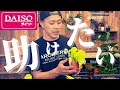 【100均】ダイソーで見つけた観葉植物を激変させるアイデア