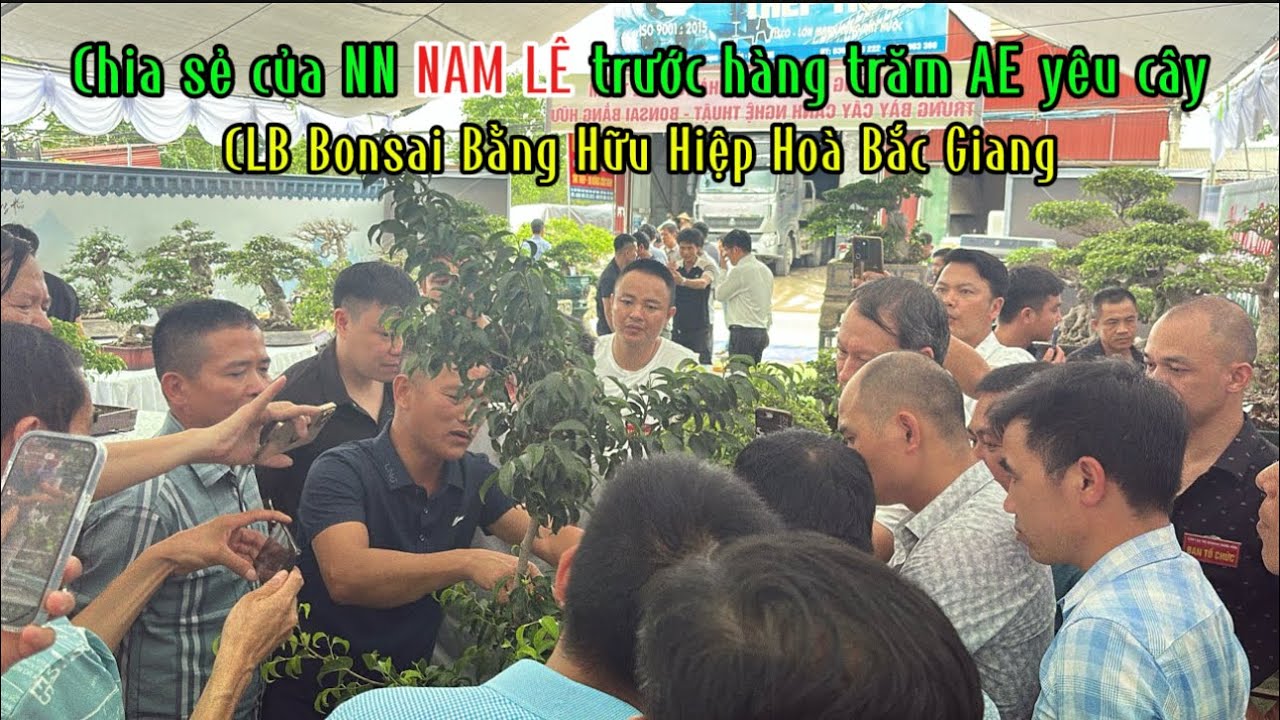 Quảng Tùng| Chia sẻ của NN NAM LÊ trước hàng trăm AE yêu cây/CLB bonsai BẰNG HỮU hiệp Hoà Bắc Giang