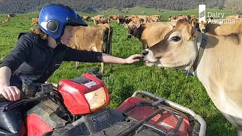 Dairy Passport - Teresa Hicks