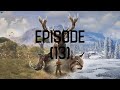 theHunter Call of the Wild Ep 13: Geese Hunting Part 2 & Bloodhound & 2 DIAMONDS!!!