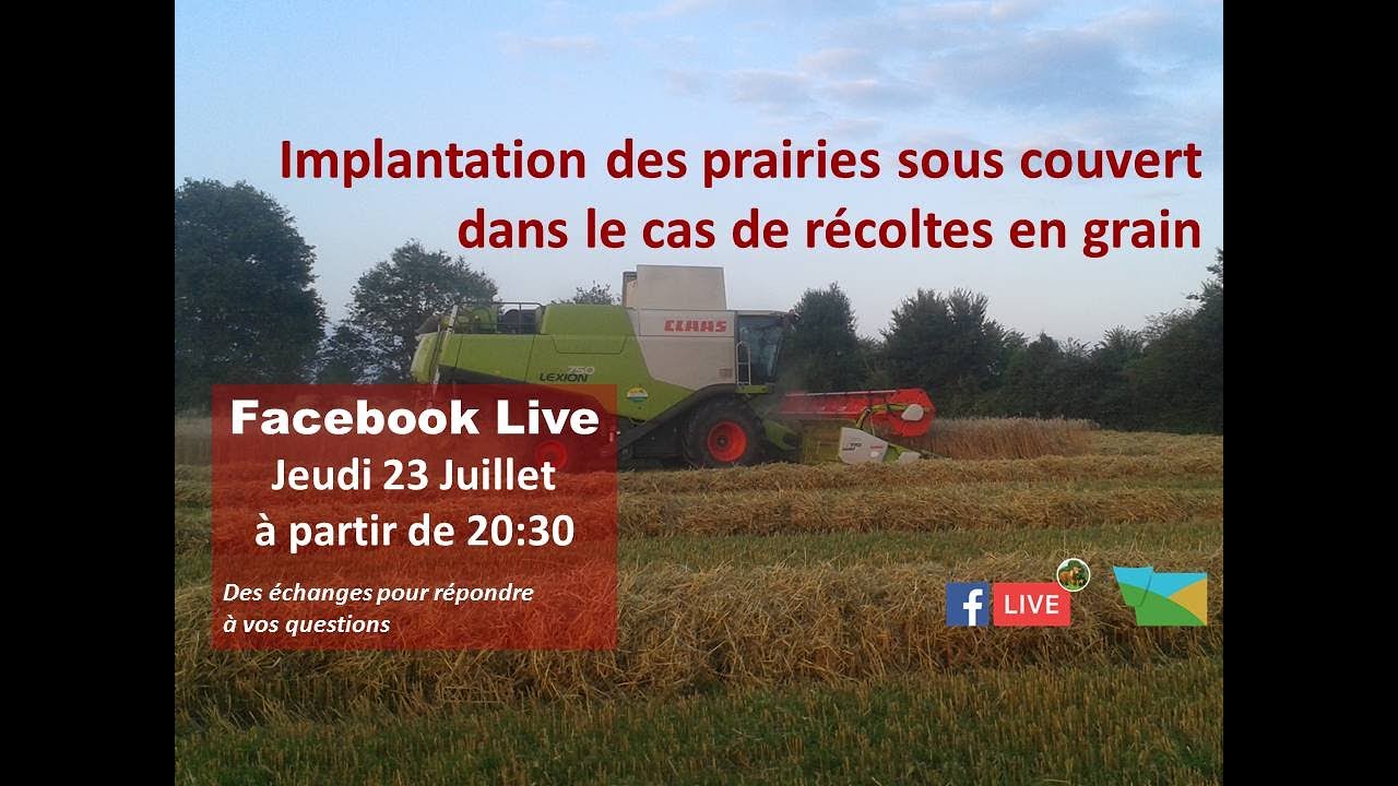 FB live implanter des prairies sous couvert récolte en grain Fxp Thorigné Juillet 2020