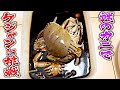 見た目は"猛毒のカニ"で2種類のケジャンを作ってみました！お味はどうなるかな！？