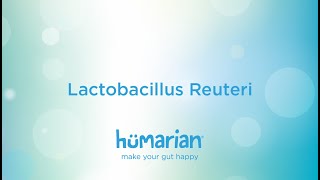 Lactobacillus Reuteri