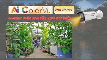 ✨ “AI ColorVu Hikvision – Camera nhìn đêm như ngày