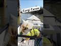 Canoeing with Corgi | #camping