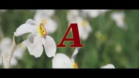 A | #u48warmup2018 | 506 Crew