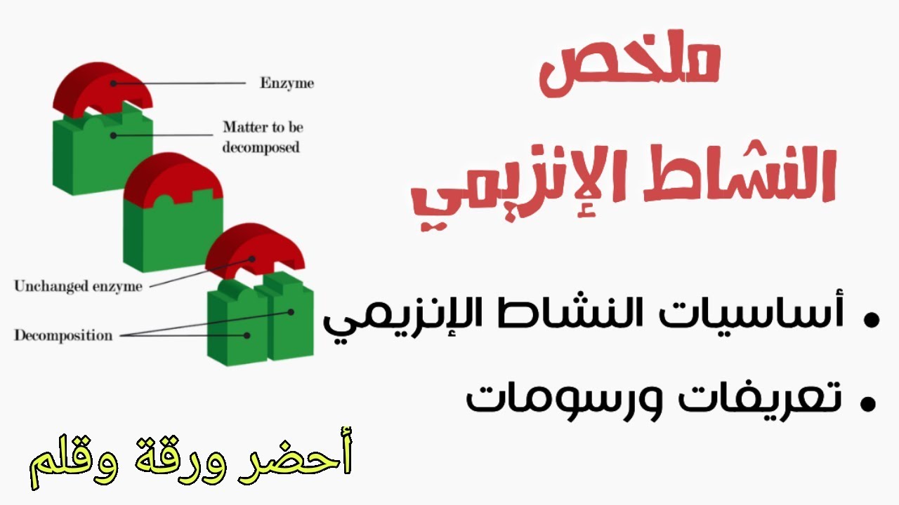 العلوم