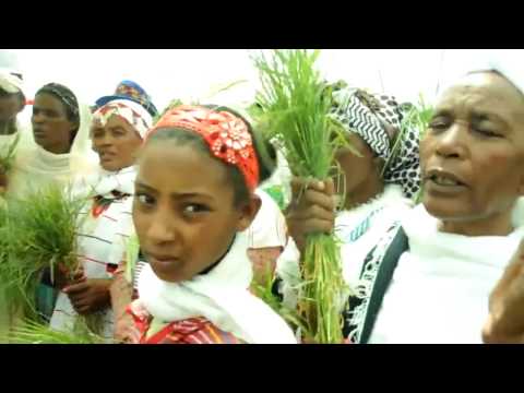 GAARUMMAA HUNDEE GABBISAYYOO BEST IRREECHAA SONG 